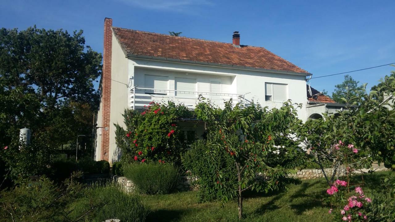 Apartment Brigitte Vrsi Zewnętrze zdjęcie