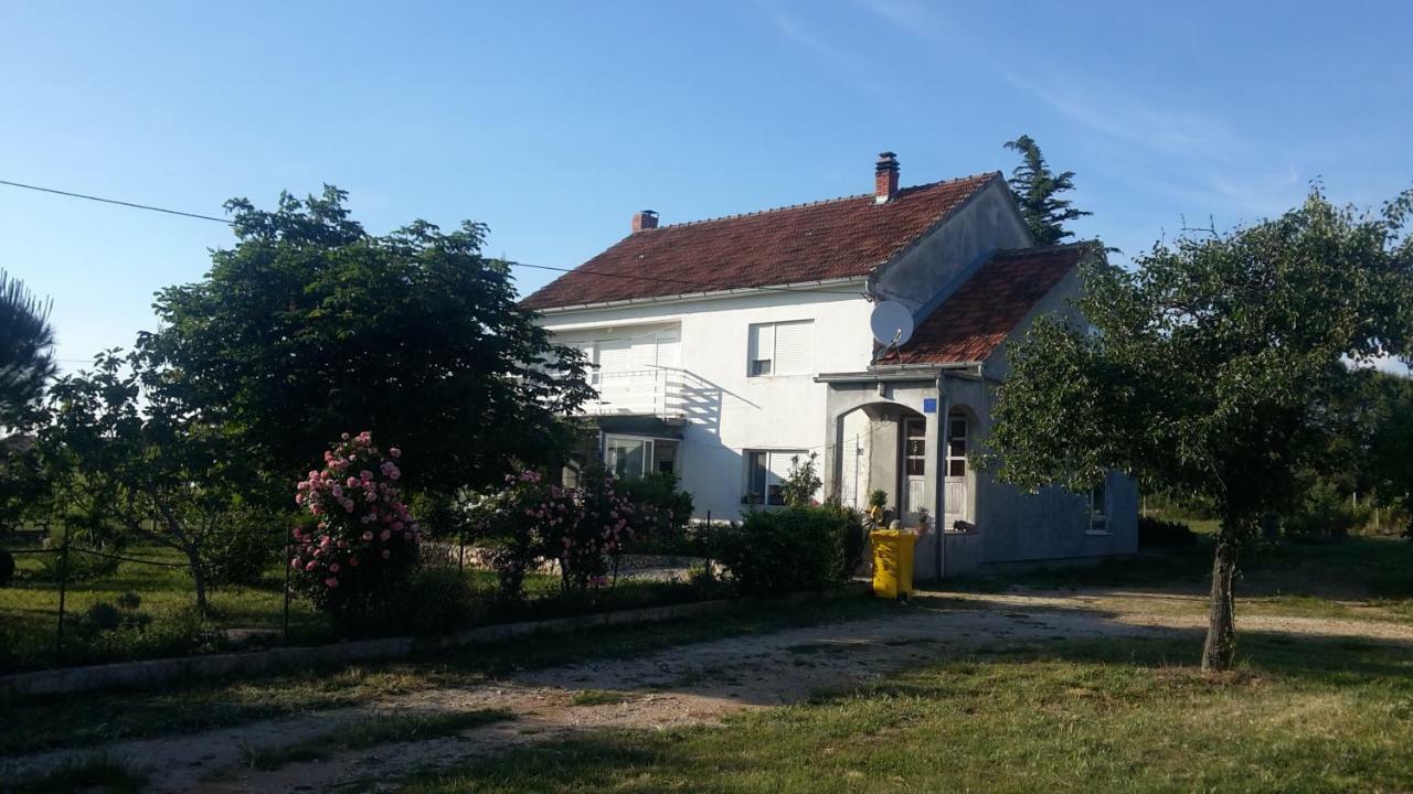 Apartment Brigitte Vrsi Zewnętrze zdjęcie