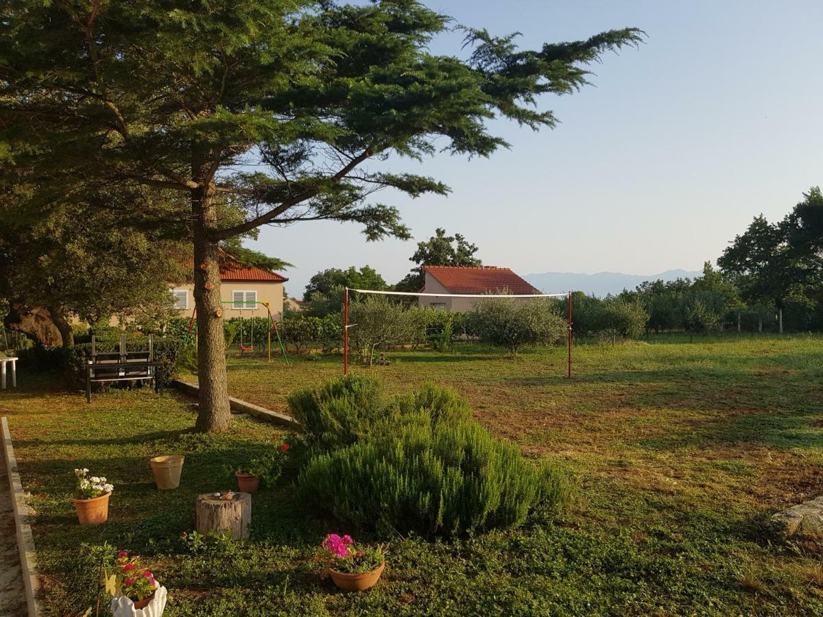 Apartment Brigitte Vrsi Zewnętrze zdjęcie