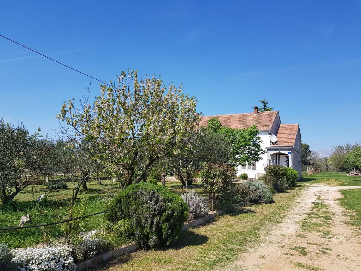 Apartment Brigitte Vrsi Zewnętrze zdjęcie